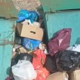 В Архангельской области мусор из Онеги вывозят на полигон с проблемной лицензией