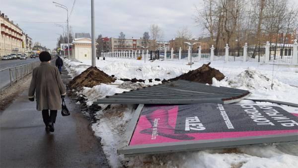 Повредивших рябиновую аллею в Архангельске рекламщиков могут наказать рублем
