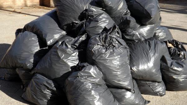 Информация о межрегиональном перемещении мусора в России станет открытой