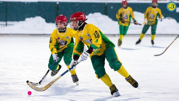 Насыщенный спортивными событиями март ждет любителей хоккея с мячом в Архангельске