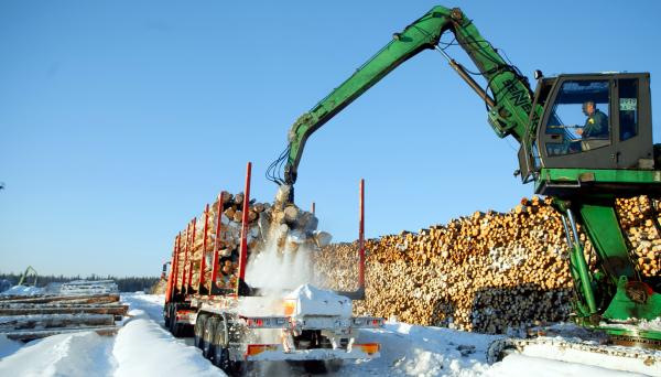 В Архангельске обсудили современные технологии лесозаготовок