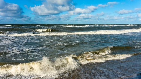 Грозы и сильный ветер: в Поморье вновь объявили штормовое предупреждение 