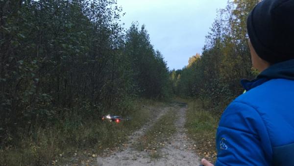 В Архангельской области при странных обстоятельствах пропал сборщик клюквы 