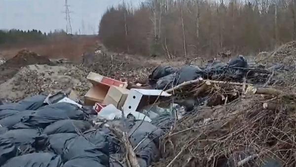 Новодвинцы бьют тревогу: после субботников городская окраина погрязла в мусоре 