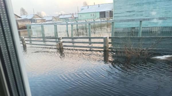 «Район уходит под воду!»: в Архангельской области затопило еще одну деревню