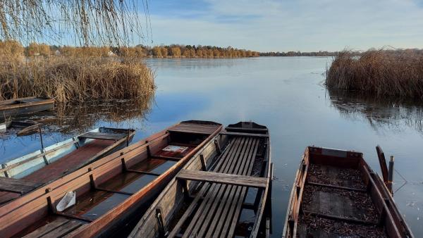Пьяный мужчина с юга Архангельской области утонул во время катания на лодке