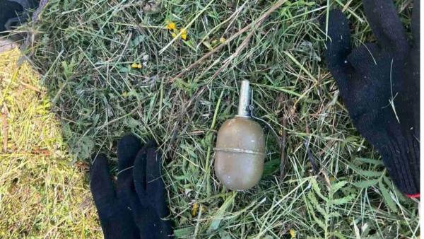 В Северодвинске во время покоса травы нашли учебную гранату 