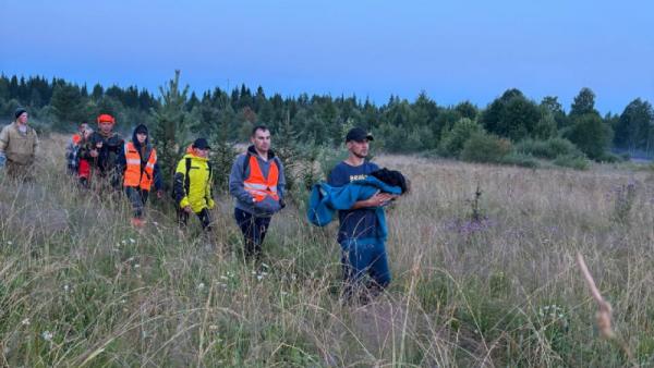 Пропавшую в Архангельской области двухлетнюю малышку нашли на болоте
