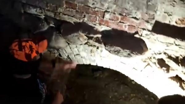 В гимназии Архангельской области нашли подземелье с артефактами прошлого века