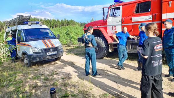 В Пардубице иностранцы завезли девушку в лес и изнасиловали - vinegret