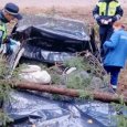 Еще одно гибельное ДТП произошло на трассе в Архангельской области