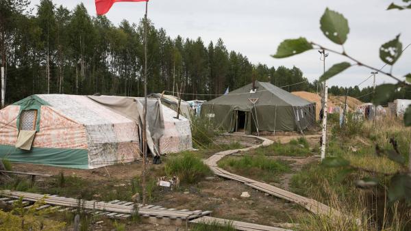 Активистам разрешили оставить палатки на Шиесе на период рекультивации