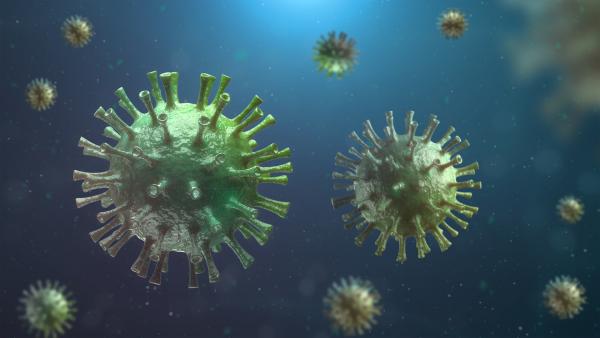 В Поморье за сутки выявлен 351 новый случай коронавирусной инфекции