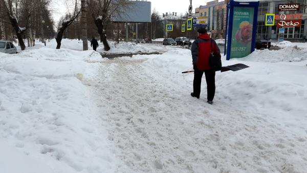 Рабочая неделя в Архангельской области начнется с оттепели