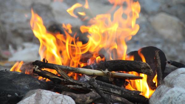 С 9 июля в лесах Архангельской области установлен особый противопожарный режим 