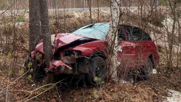 Набитая молодежью легковушка с пьяным водителем врезалась в дерево в Северодвинске 