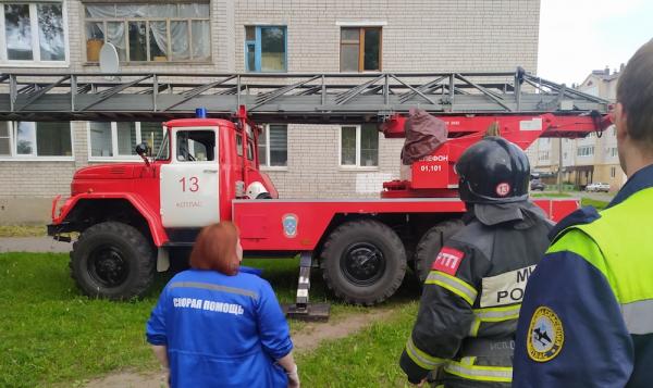 В Котласе с козырька балкона пятиэтажного дома, сотрудниками МЧС спасён ребёнок