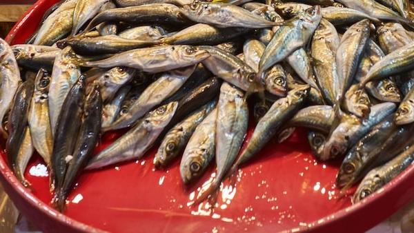 В Северодвинске изъята тонна рыбы «темного» происхождения